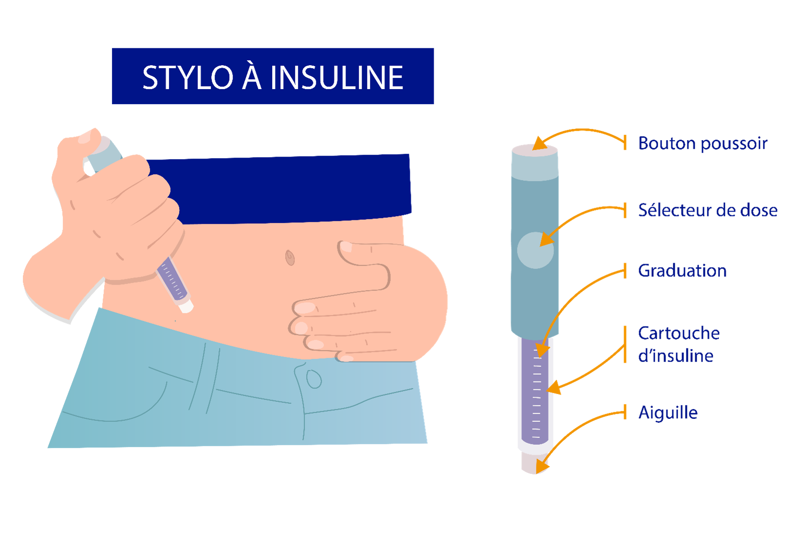 Stylos à insuline